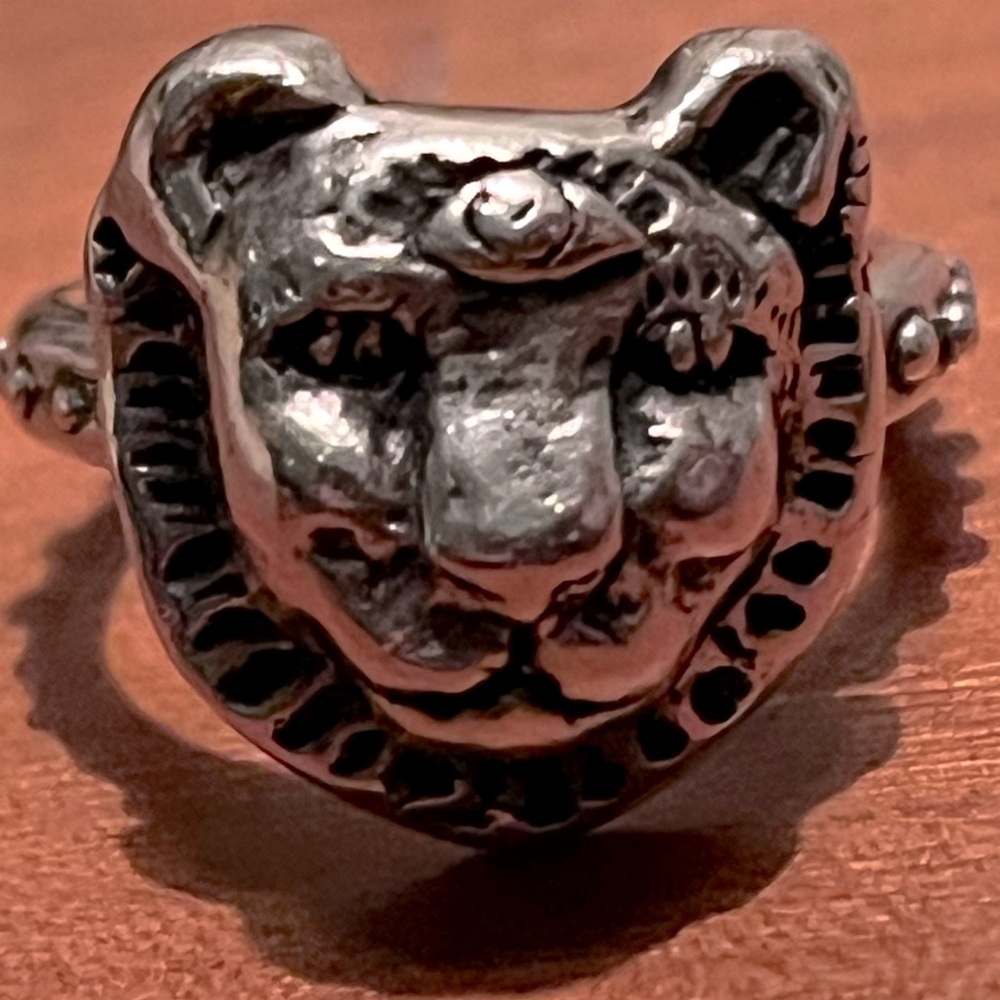 Jes MaHarry courage and Truth sterling silver size 8 ring. From Sundance